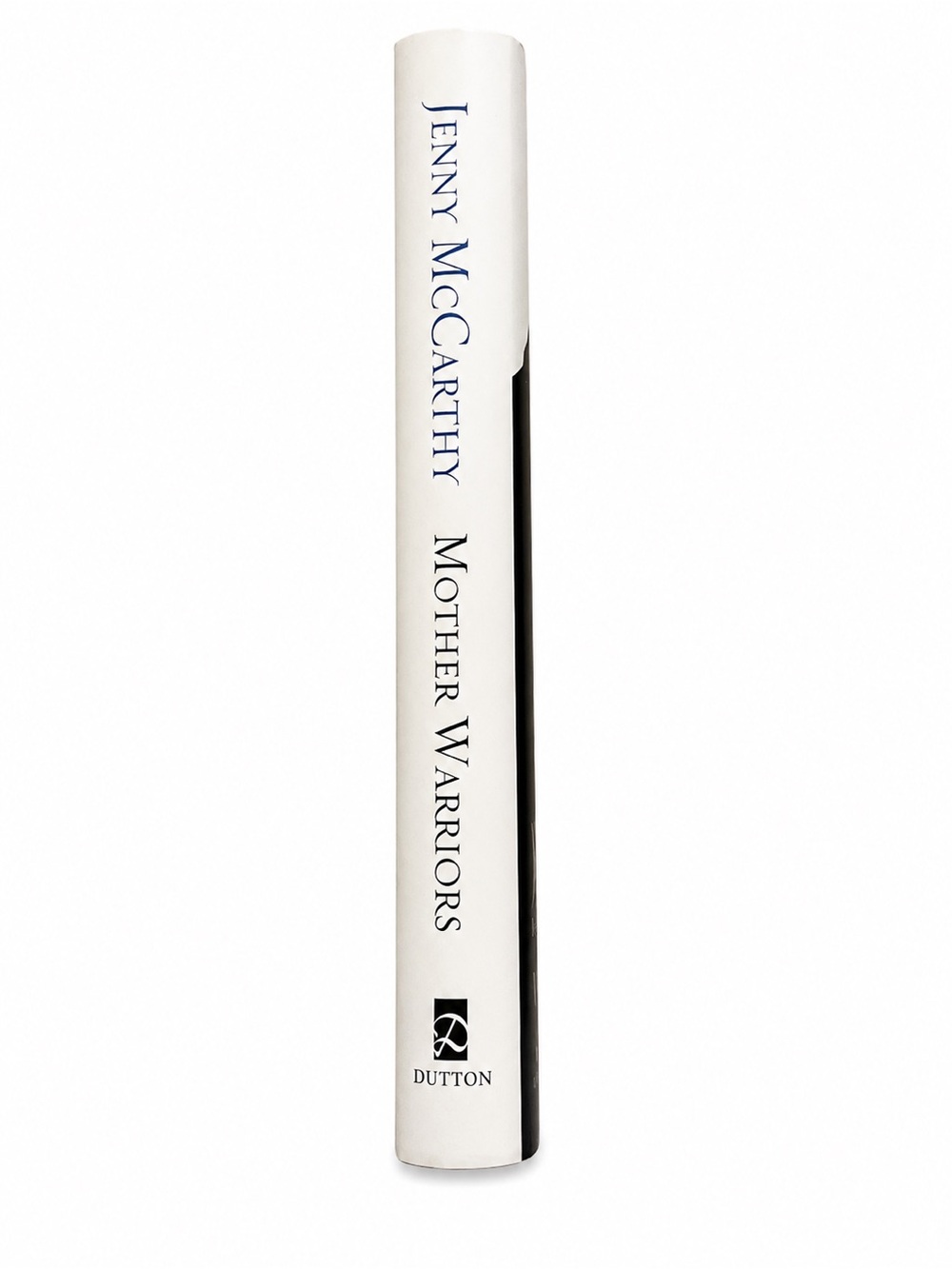 Jenny McCarthy Mother Warriors Hardcover Book Autism Parenting Memoir - Picture 3 of 5